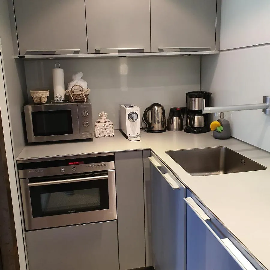 Lujoso Duplex En La Plaza Del Ayuntamiento Apartment Pamplona 0*,
